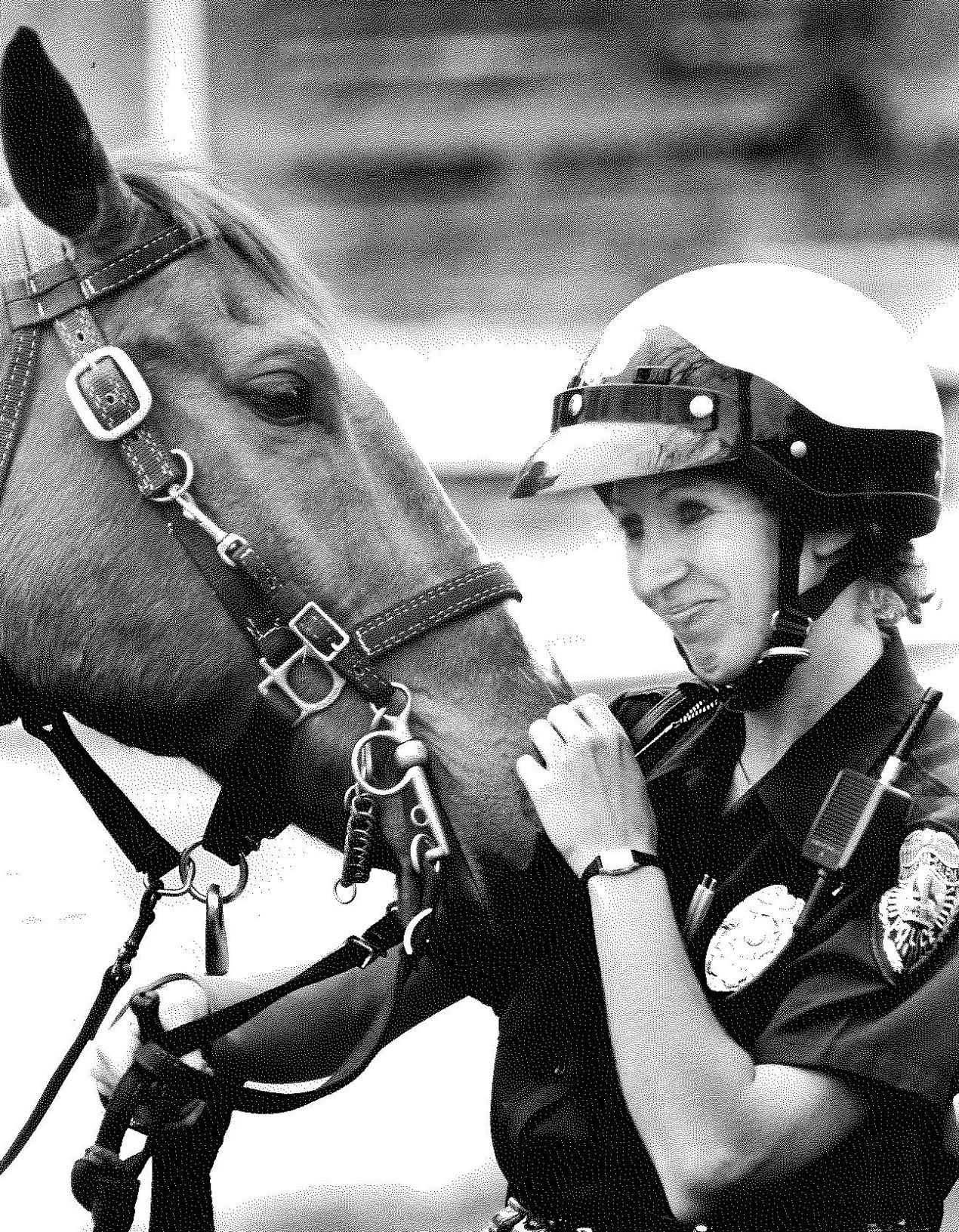 Police horses